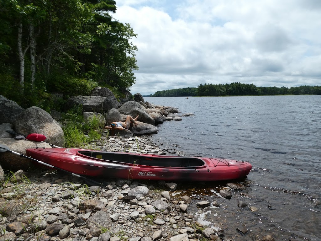 B&B Art of Germany | Region of Queens Municipality, NS B0T 1B0, Canada | Phone: (902) 682-2114