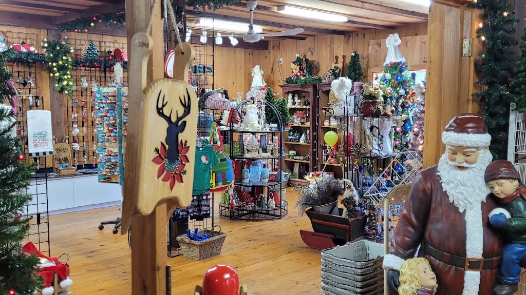 Snow N Sand | 12 Francis St W, Fenelon Falls, ON K0M 1N0, Canada | Phone: (705) 887-7000