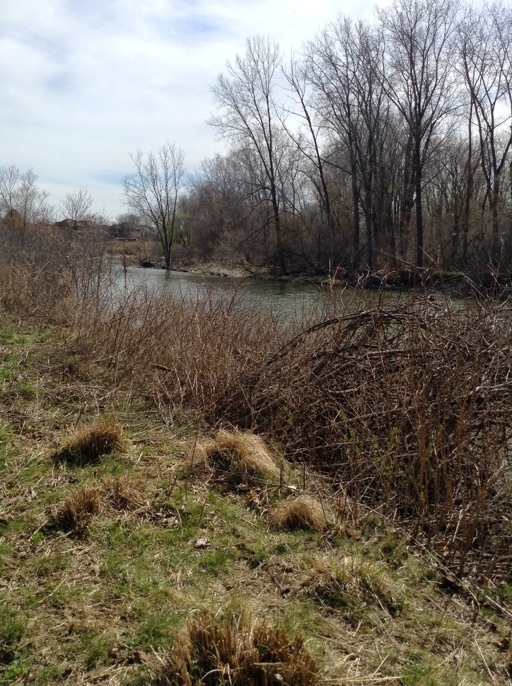 Kilally Meadows - Environmently Significant Area | 5V3, 17-29 Edgevalley Rd, London, ON N5Y 6L5, Canada