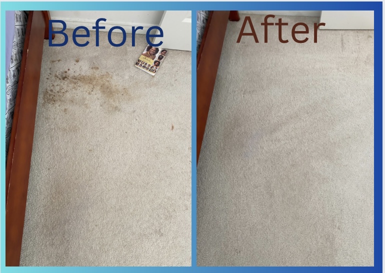 Alenka Cleaning Services | 570 Proudfoot Ln, London, ON N6H 4Z1, Canada | Phone: (226) 224-1316