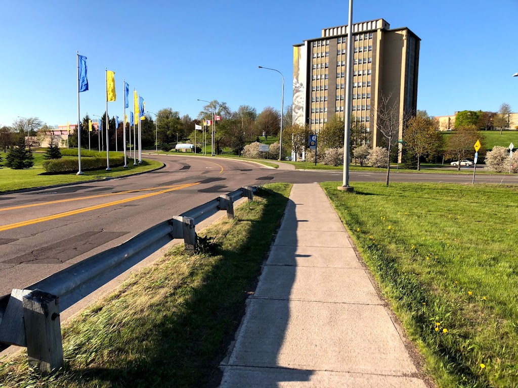 Université de Moncton | 18 Antonine-Maillet Ave, Moncton, NB E1A 3E9, Canada | Phone: (506) 858-4000
