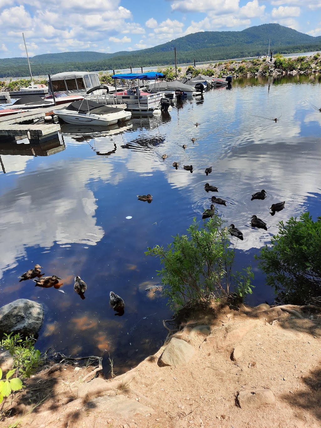 Deep River Marina | 100 Pier Rd, Deep River, ON K0J 1P0, Canada | Phone: (613) 584-2000