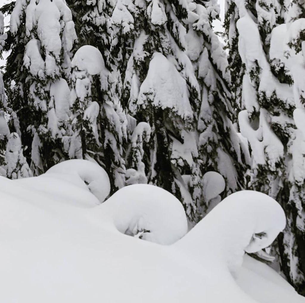 Comox Valley Ski Tuning | 80 Willemar Ave, Courtenay, BC V9N 3L1, Canada | Phone: (778) 231-4114