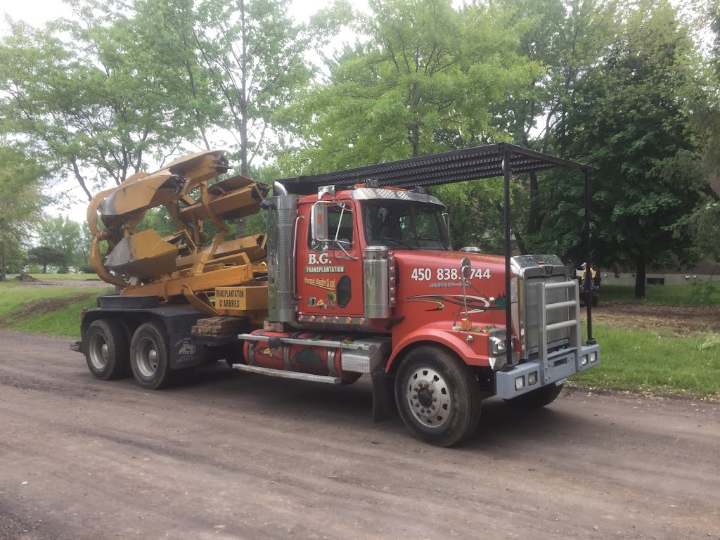 B.G. Transplantation inc. | 8800 Chem. du Curé Barrette, Terrebonne, QC J7M 1N3, Canada | Phone: (514) 703-7744