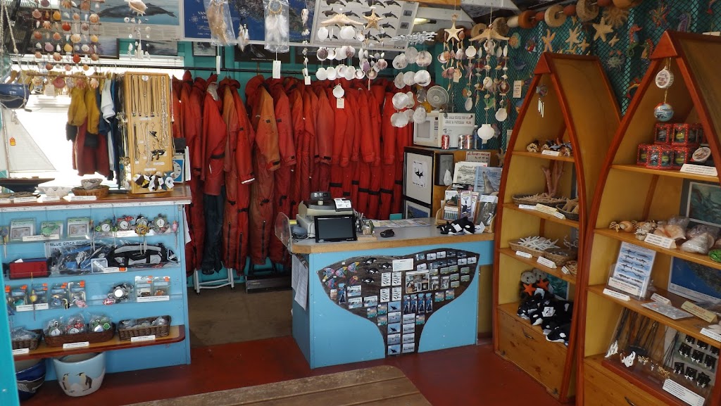 Club SeaKing Adventures / Fishing & Wildlife Tours | 10441 Resthaven Dr, Sidney, BC V8L 3H6, Canada | Phone: (250) 920-6531