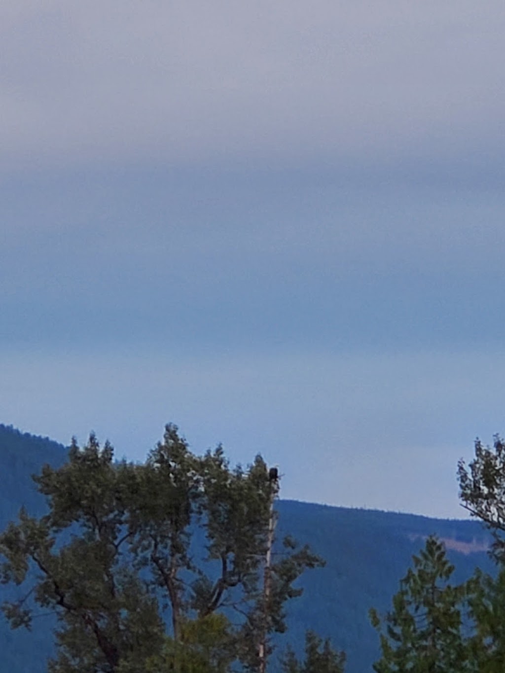 Kingfisher Community Society | 3337 Enderby Mabel Lake Rd, Enderby, BC V0E 1V5, Canada | Phone: (250) 838-6200