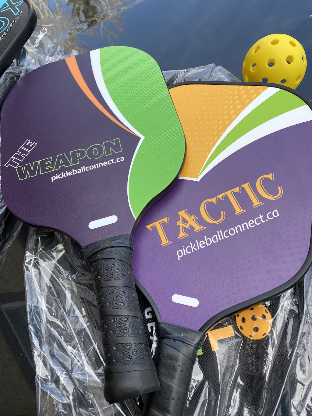 Pickleball Connect | 311 McKenzie Towne Square SE, Calgary, AB T2Z 1E3, Canada | Phone: (403) 861-5649