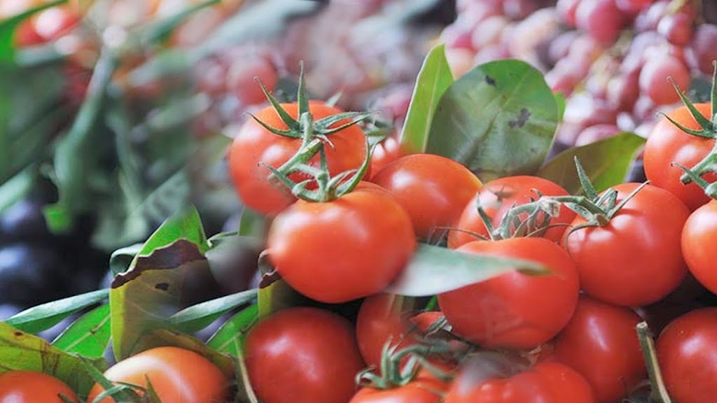 Beland Organic Foods Inc | 19-2390 Bd Louis-XIV, Québec, QC G1C 5Y8, Canada | Phone: (418) 661-5106