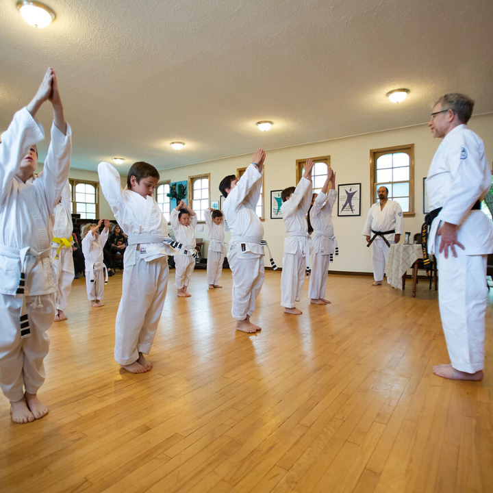 Northern River Yoga and Karate School | 9155 79 Ave NW, Edmonton, AB T6C 0R9, Canada | Phone: (780) 707-3693