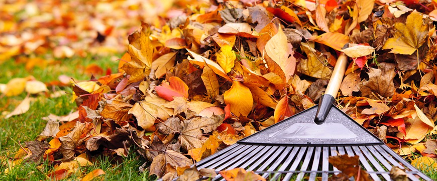 CTM Lawn Care | 47 Blanchard Ave, Truro, NS B2N 4K7, Canada | Phone: (902) 957-3571