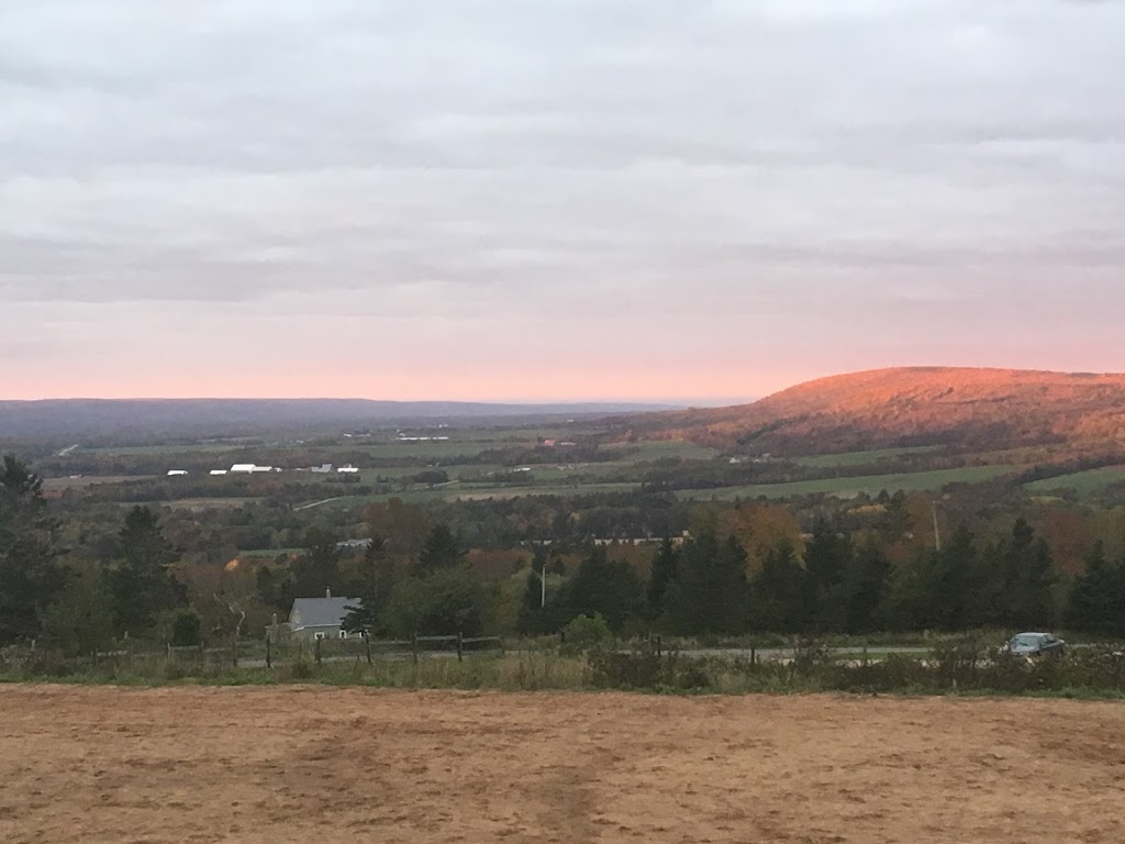 Furry Friends Inn | 1008 Ruggles Rd, Kingston, NS B0P 1R0, Canada | Phone: (902) 825-3208