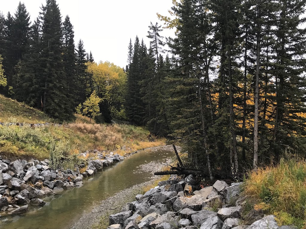 Grizzly Bear Cottage | 100 Coalmine Rd W, Alberta T0L 1W4, Canada | Phone: (780) 966-1227
