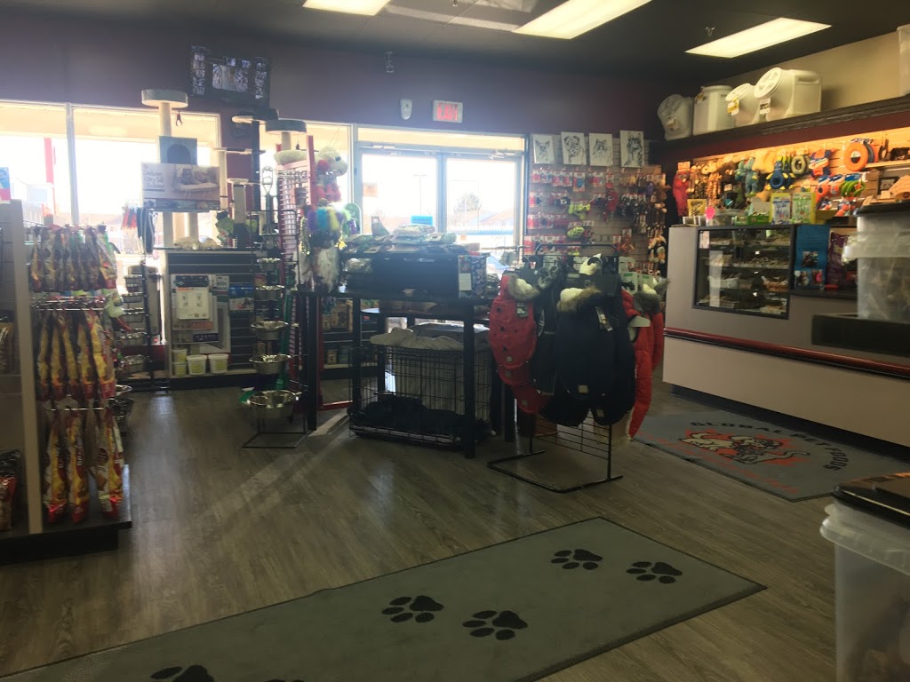 Global Pet Foods | 385 Springbank Ave, Woodstock, ON N4T 1R3, Canada | Phone: (519) 539-0111