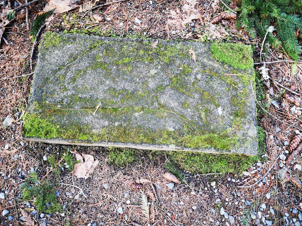 Petroglyph Provincial Park | 990-960, Trans-Canada Hwy, Nanaimo, BC V9R 6K5, Canada | Phone: (250) 474-1336