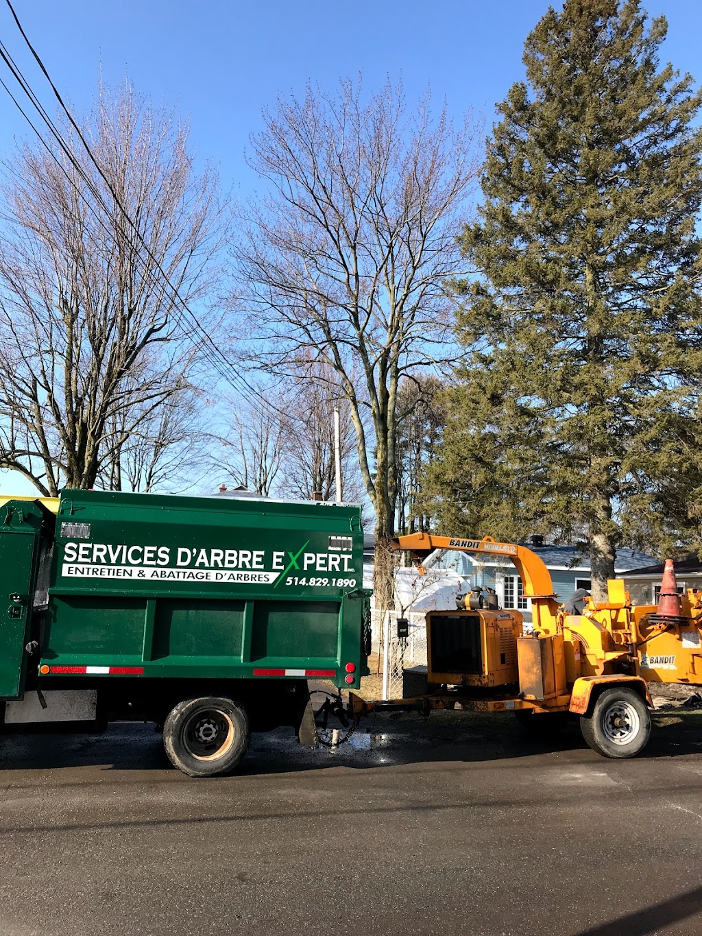 Services D’arbre Expert | 101 Terr. Miron, Lavaltrie, QC J5T 1B7, Canada | Phone: (514) 829-1890