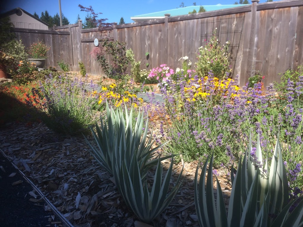 Nuance Garden Design and Care | 1272 Westurne Heights Rd, Qualicum Beach, BC V9K 1V6, Canada | Phone: (250) 927-4400