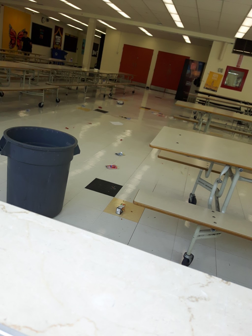 Trenton High School | 15 Fourth Ave, Trenton, ON K8V 5N4, Canada | Phone: (613) 392-1227