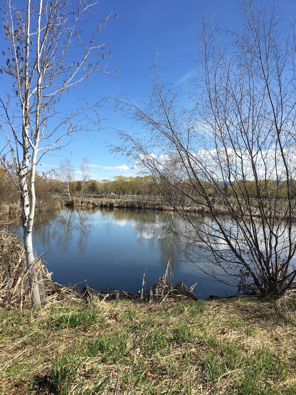 Mission Recreation Park | 4105 Gordon Dr, Kelowna, BC V1W 4Z1, Canada