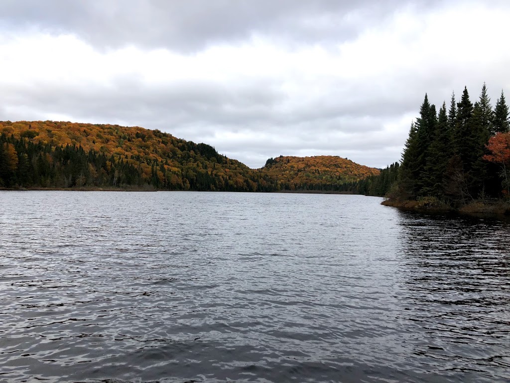 Portneuf wildlife reserve | 229 Rue du Lac Vert, Rivière-à-Pierre, QC G0A, Canada | Phone: (800) 665-6527