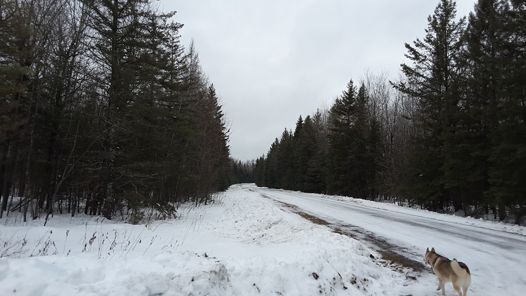 Maskwa Project | 500 Maskwa Rd, Pine Falls, MB R0E 1M0, Canada | Phone: (204) 367-4390
