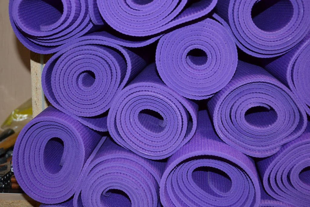 Bee Wellness Older Adult Fitness and Rehab Therapy | 3680 Roblin Blvd, Winnipeg, MB R3R 0E1, Canada | Phone: (204) 832-2077