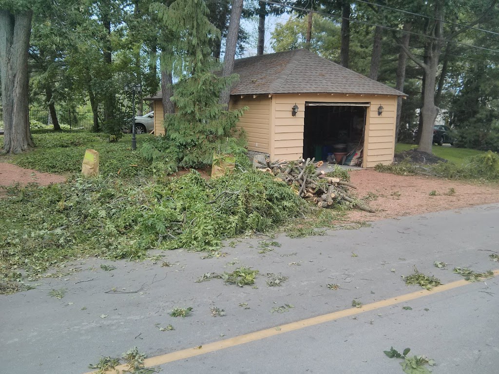 Pinecrest Property Maintenance | 240 Clarence St, Port Colborne, ON L3K 3G6, Canada | Phone: (289) 990-8056