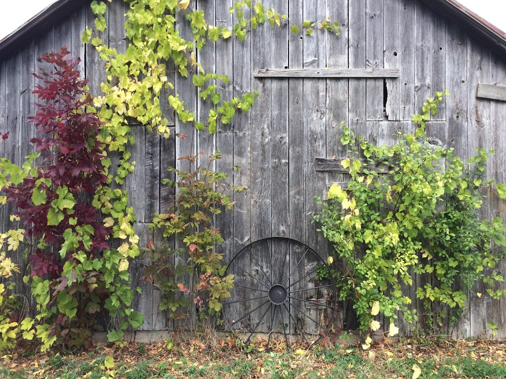 Sawmill Creek Farm Niagara | 437 Sawmill Rd, St. Catharines, ON L2R 6P7, Canada | Phone: (905) 246-6796