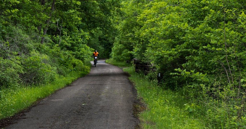 Rail Trail | Mountain Brow Blvd, Hamilton, ON L8T 1A9, Canada