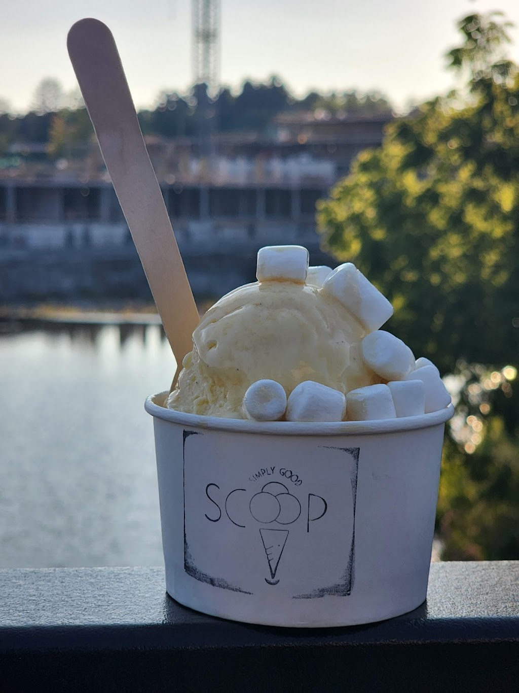 Scoop Ice Cream | 58 Mill St W, Elora, ON N0B 1S0, Canada | Phone: (226) 384-4444