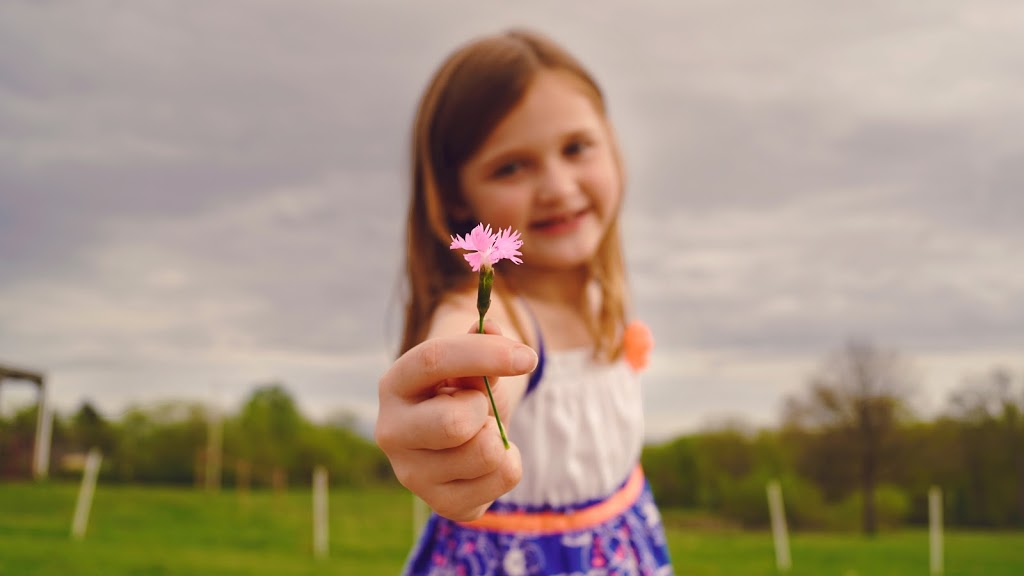 Resource Holistic Healing | 37 Nichol St W, Elora, ON N0B 1S0, Canada | Phone: (226) 332-2222