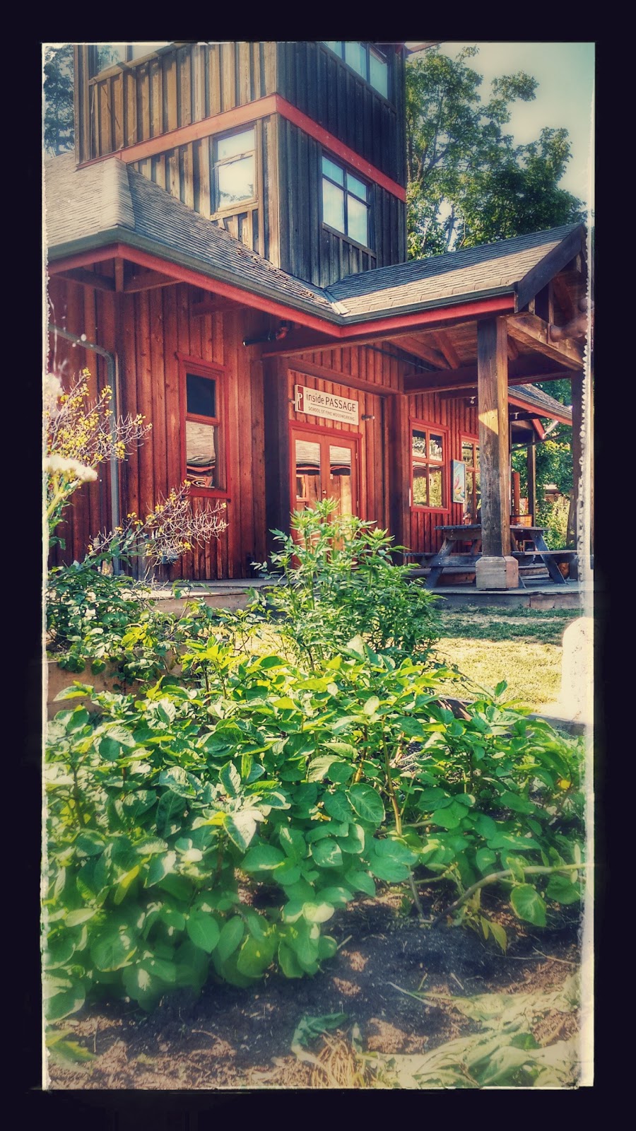 Inside Passage School | 1122 Roberts Creek Rd, Roberts Creek, BC V0N 2W2, Canada | Phone: (604) 885-9676