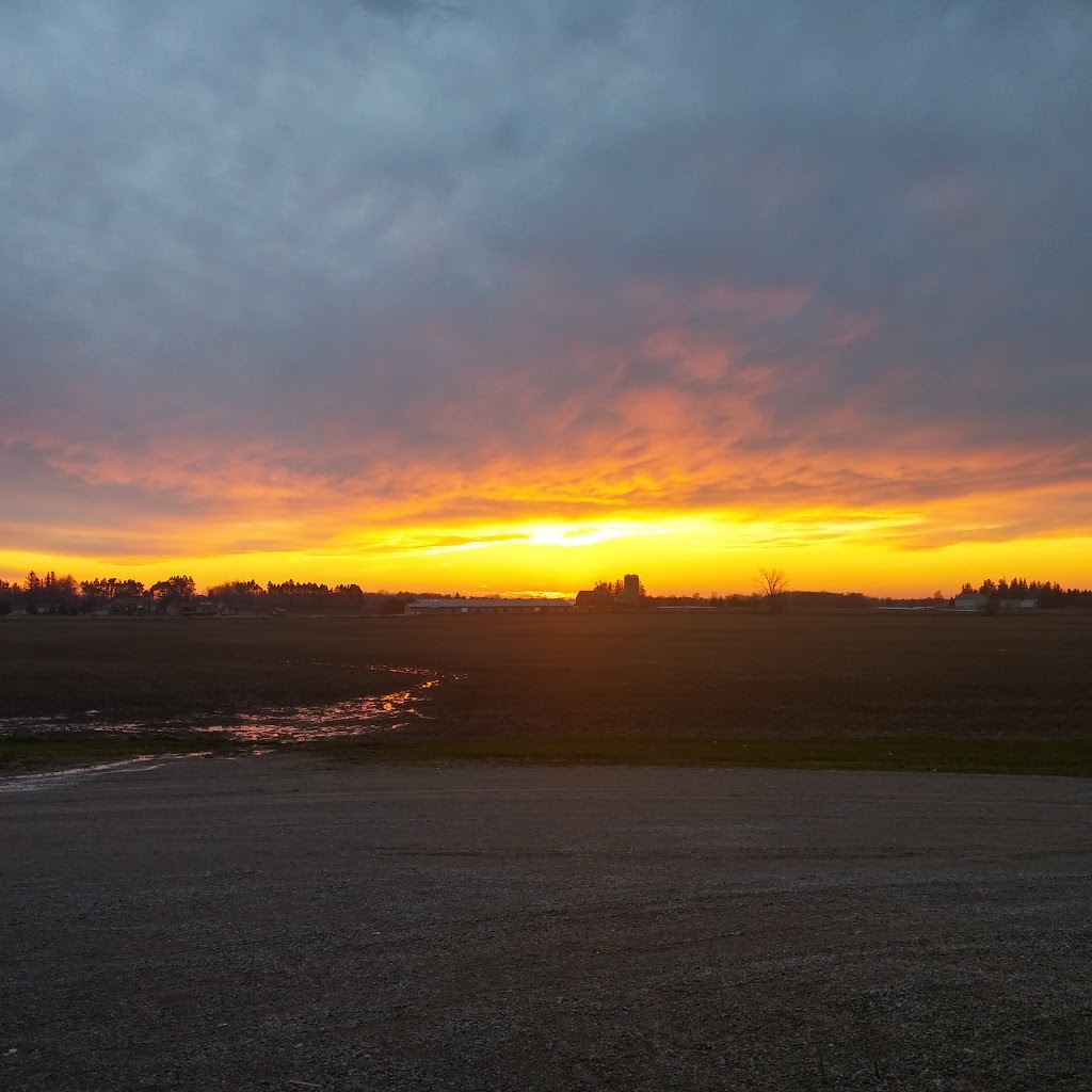Nott Farms | 80171 Kinburn Line, Clinton, ON N0M 1L0, Canada | Phone: (519) 233-7579