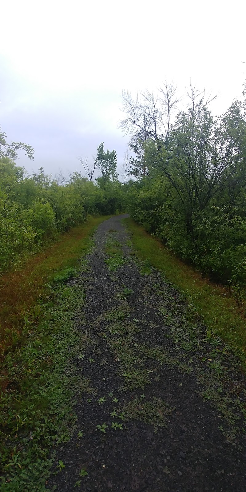 Greenbelt Trail 10 | Carling Ave, Ottawa, ON K2H 8B2, Canada