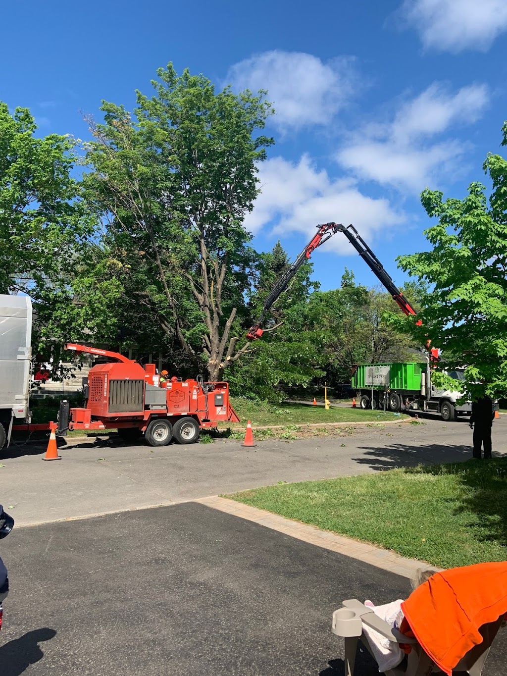 Wright Tree Service | 1265 Kingston Ave, Ottawa, ON K1Z 8K8, Canada | Phone: (613) 898-0698