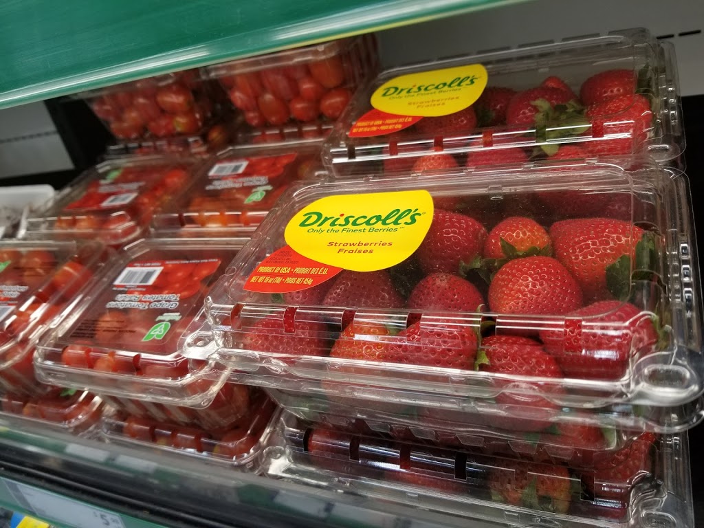 Galleria Supermarket Express | 351 Bloor St W, Toronto, ON M5S 1W7, Canada | Phone: (416) 506-6177