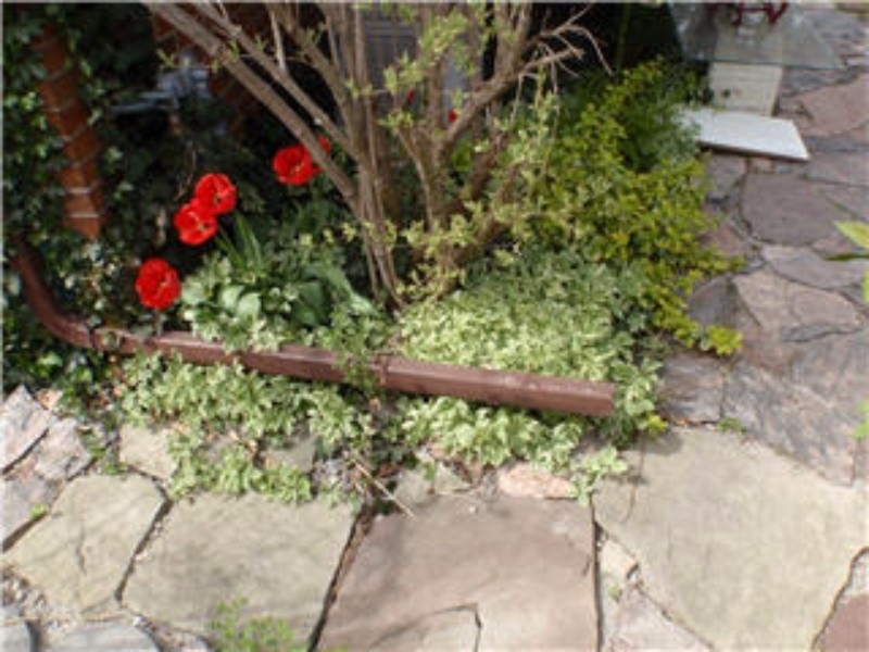 The Troughologist | 496 Raymond Rd, Bracebridge, ON P0V 1J0, Canada | Phone: (705) 641-1212