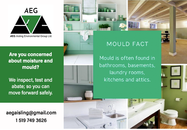 AEG Aisling Environmental Group Ltd | 381 Edinburgh Rd S, Guelph, ON N1G 3J7, Canada | Phone: (519) 749-3626