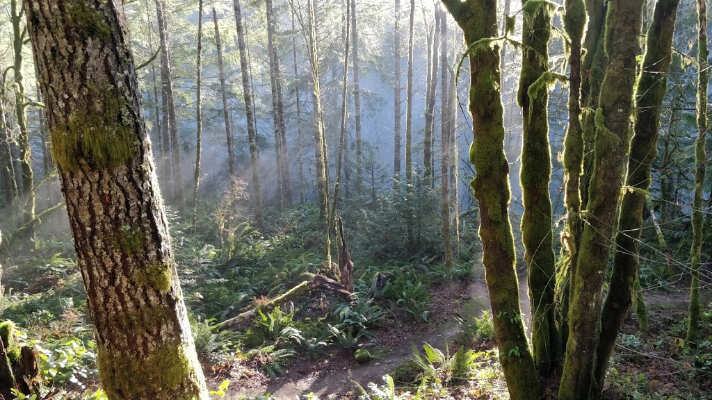 Glenora Riverside Park | Sunrise Rd, Duncan, BC V9L 6G6, Canada | Phone: (250) 746-2500