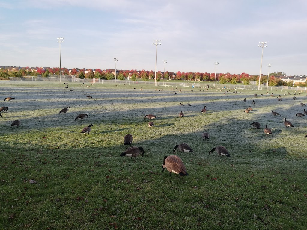 Frederick Bagg Park | Castlemore Ave, Markham, ON L6C 2B3, Canada