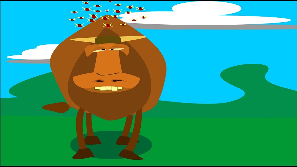 Madcap Animation | 24 Longbow Pl, London, ON N6G 1Y3, Canada | Phone: (519) 319-9121