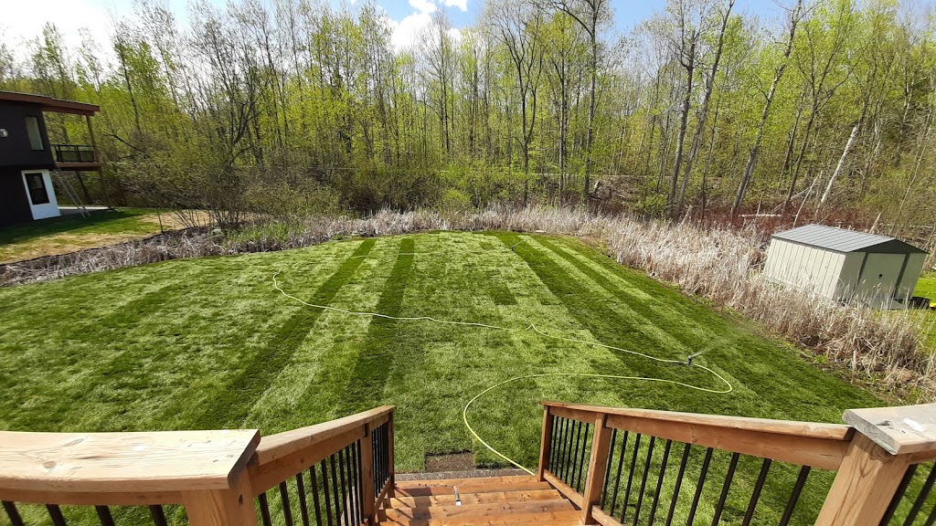 The Lawn Ladd | 1607 Rimkey Cres, Severn, ON L3V 0E9, Canada | Phone: (705) 818-9720