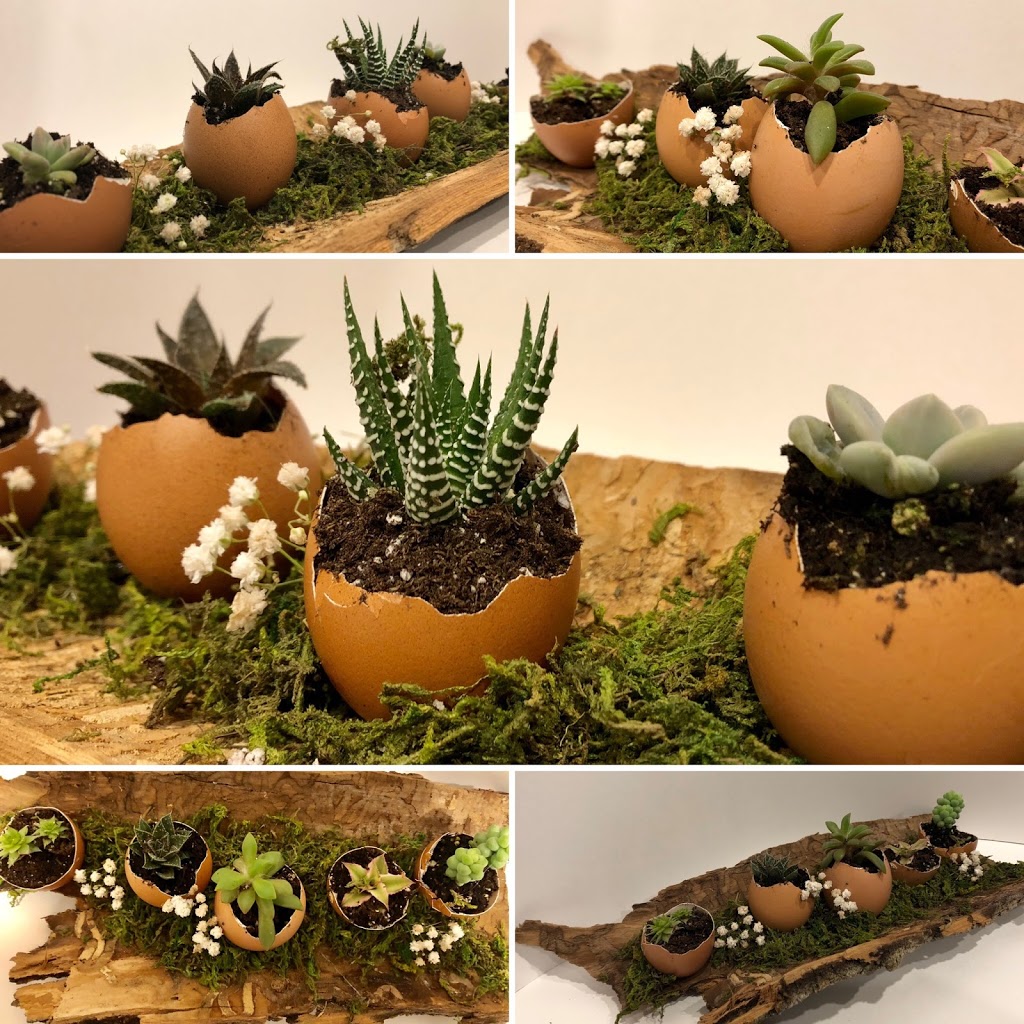 Life Vine Creations | 12374 Elizabeth St, Limehouse, ON L0P 1H0, Canada | Phone: (905) 703-8554