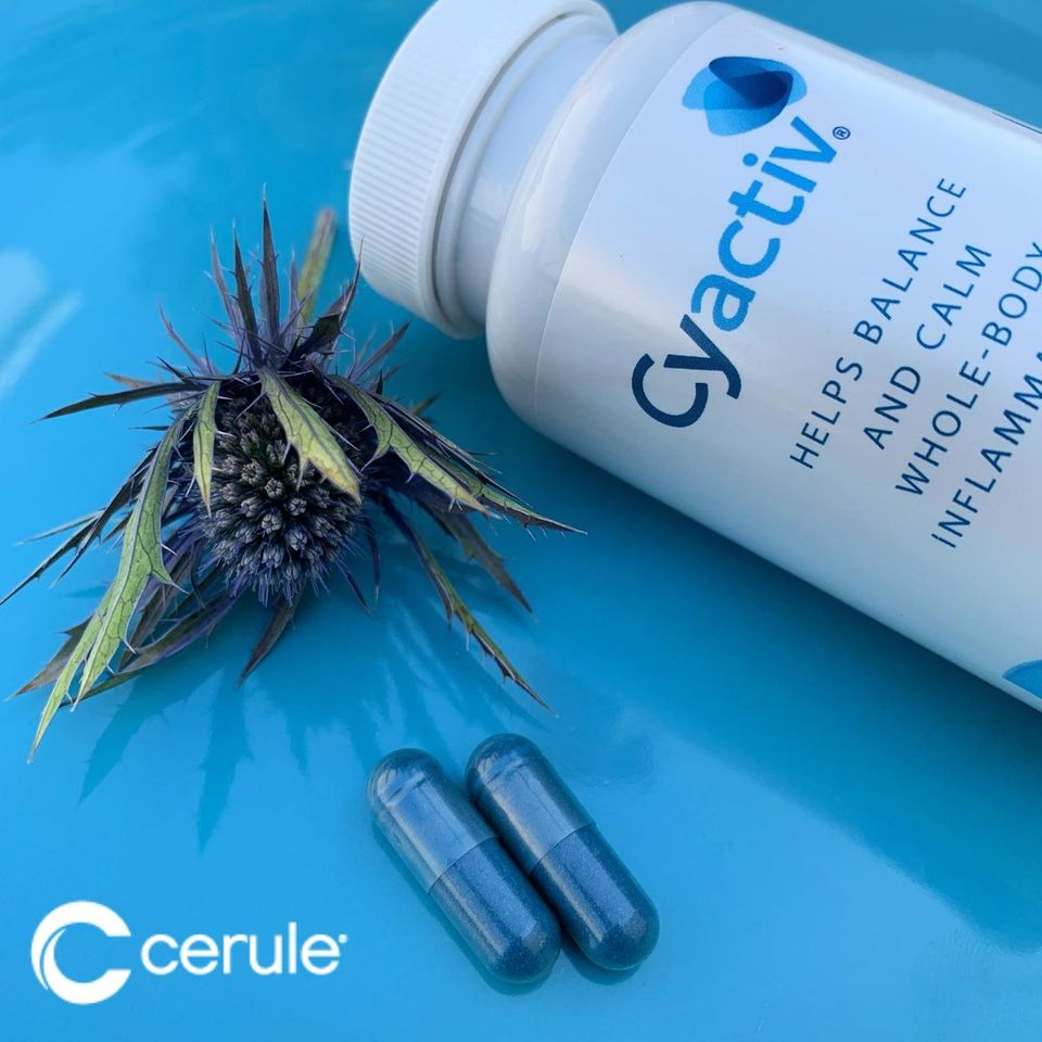 Distributeur Cerule Québec Fr. | 3755 Rue du Limousin, Jonquière, QC G7X 0K1, Canada | Phone: (418) 817-4161