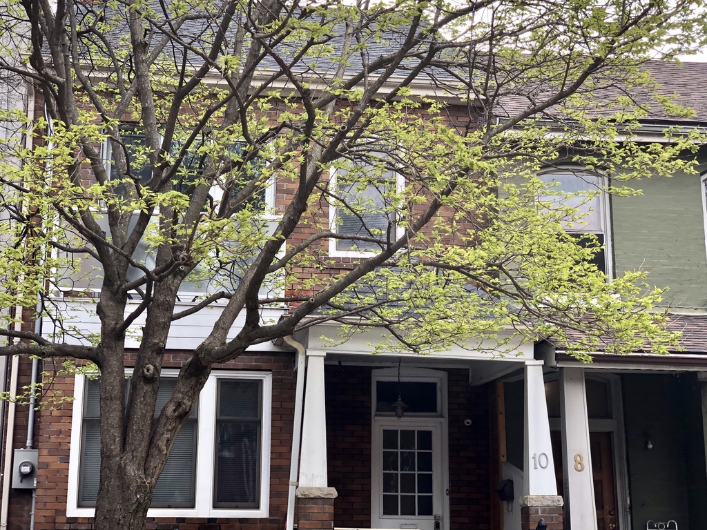 Burrow Inn By Urban North Inns | 10 Sullivan St, Toronto, ON M5T 1B9, Canada | Phone: (416) 591-5359
