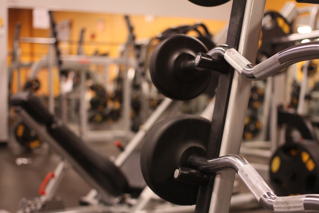 Fit4Less | 600 Murphy Rd, Sarnia, ON N7S 6K1, Canada | Phone: (519) 336-7408