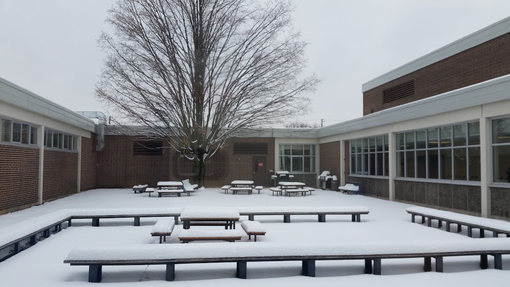 Bayview Secondary School | 10077 Bayview Ave, Richmond Hill, ON L4C 2L4, Canada | Phone: (905) 884-4453