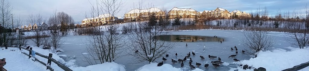 Katzie Park | 19373 68 Ave, Surrey, BC V4N 0Z2, Canada