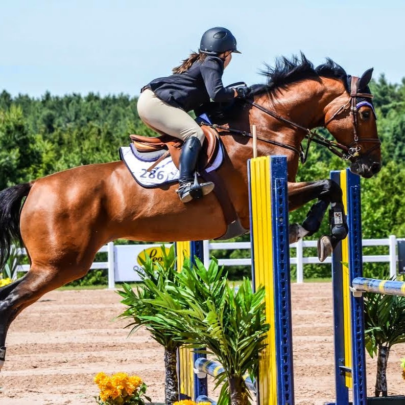 Lake House Stables | 412 Townline Rd, Ashburn, ON L0B 1A0, Canada | Phone: (905) 441-3141