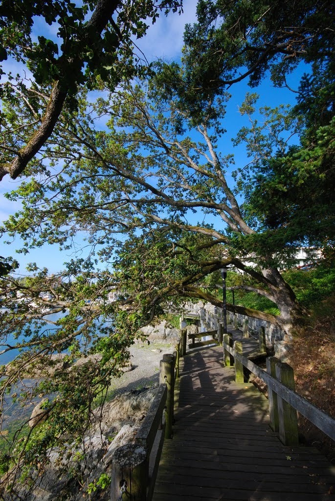 Common Property Strata Plan: Vis6262 | 847 Dunsmuir Rd, Victoria, BC V9A 0A5, Canada | Phone: (250) 381-1300