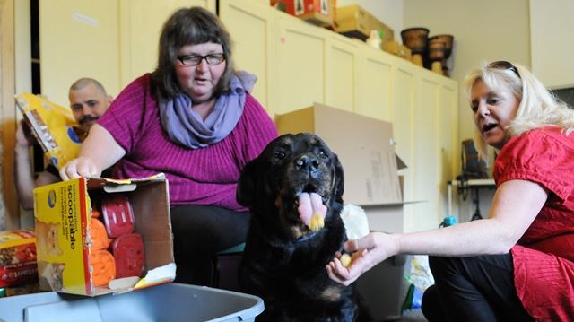 Peterborough Pet Food Bank | 438 George St S, Peterborough, ON K9J 3E3, Canada | Phone: (705) 772-3573